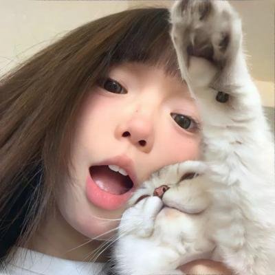 梦游故宫